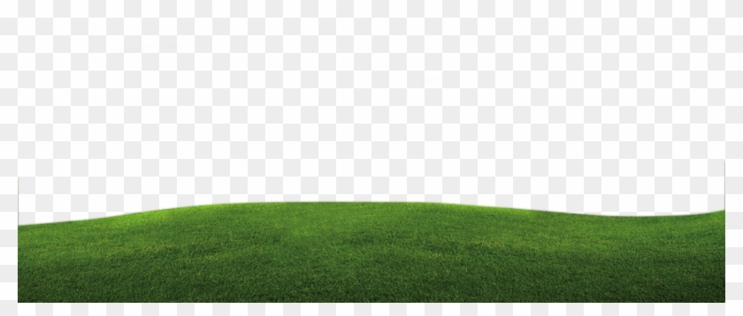 Detail Background Padang Nomer 8