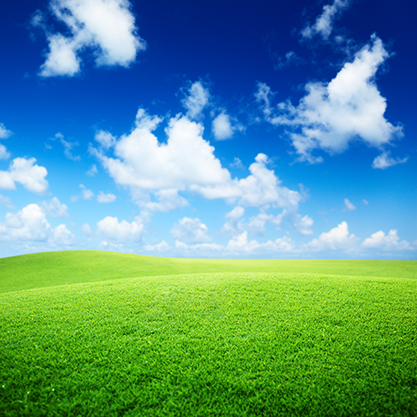 Detail Background Padang Rumput Nomer 14