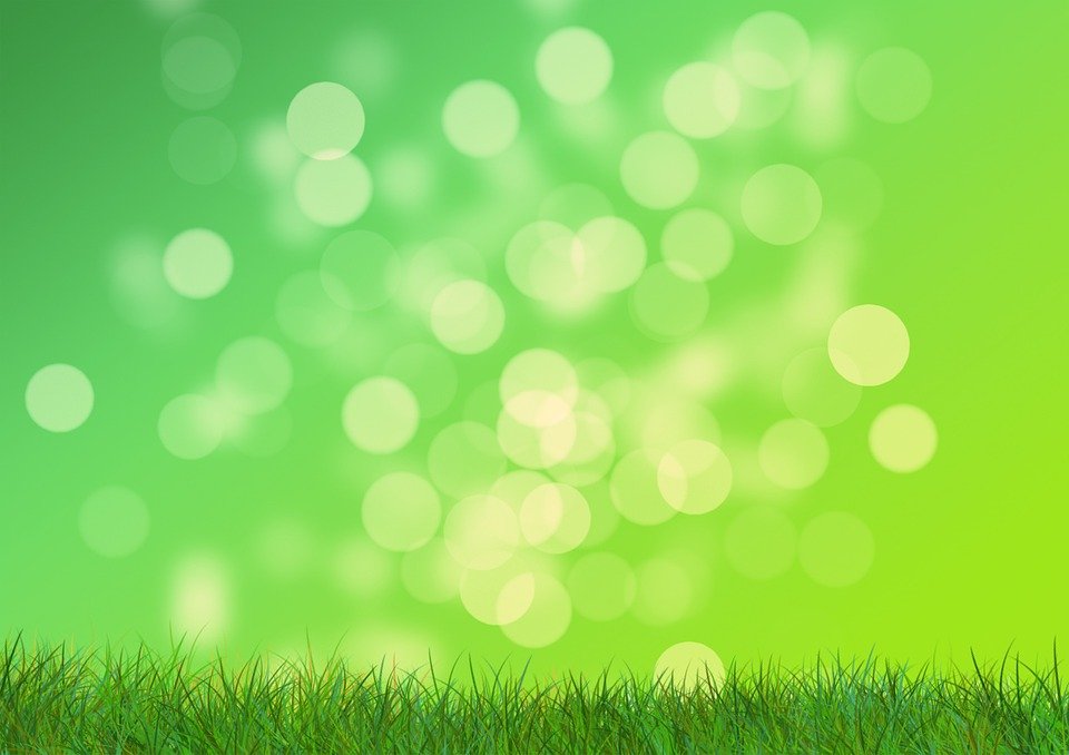 Detail Background Padang Rumput Nomer 15