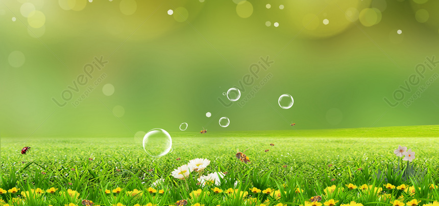 Detail Background Padang Rumput Nomer 19