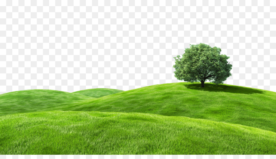 Detail Background Padang Rumput Nomer 22