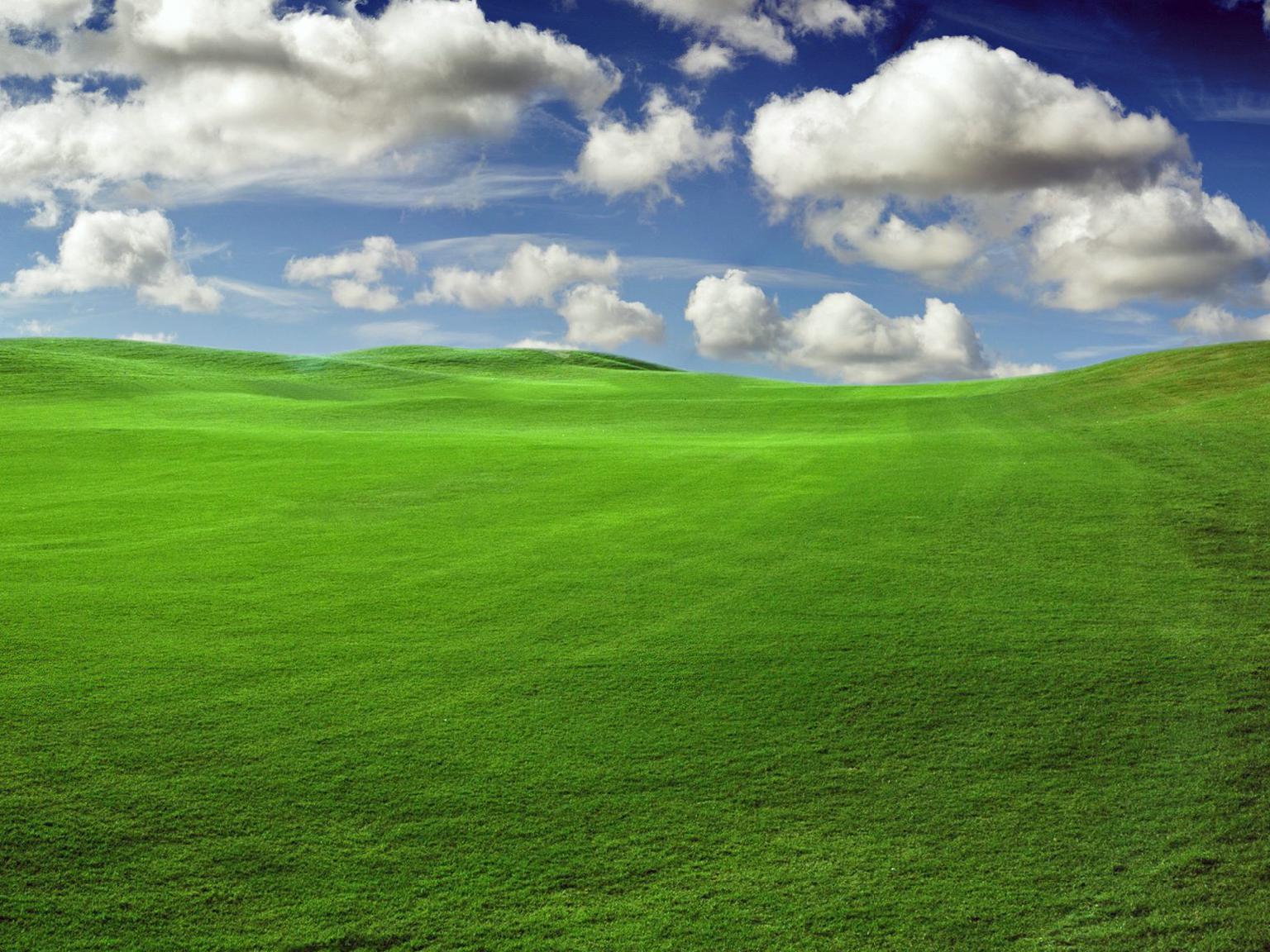 Detail Background Padang Rumput Nomer 23