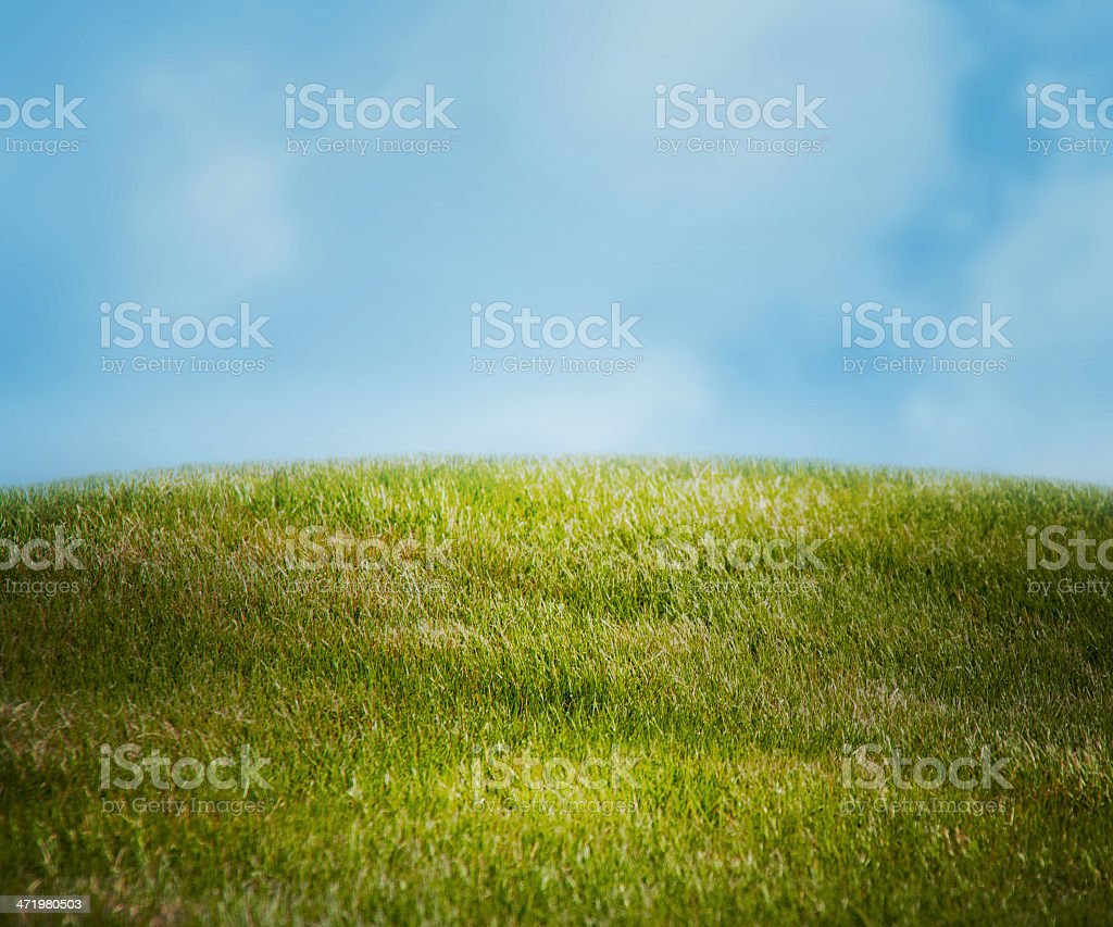 Detail Background Padang Rumput Nomer 26