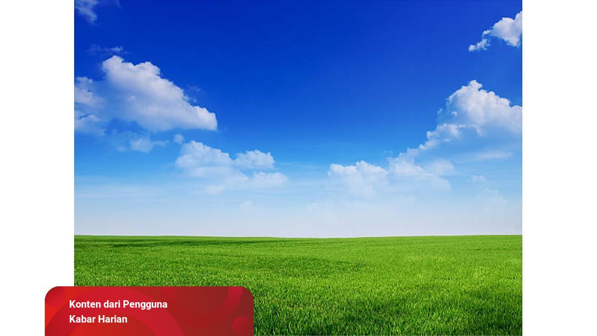 Detail Background Padang Rumput Nomer 29