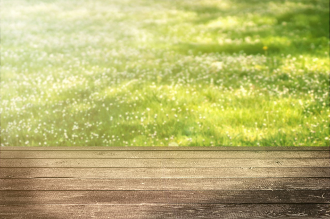 Detail Background Padang Rumput Nomer 33