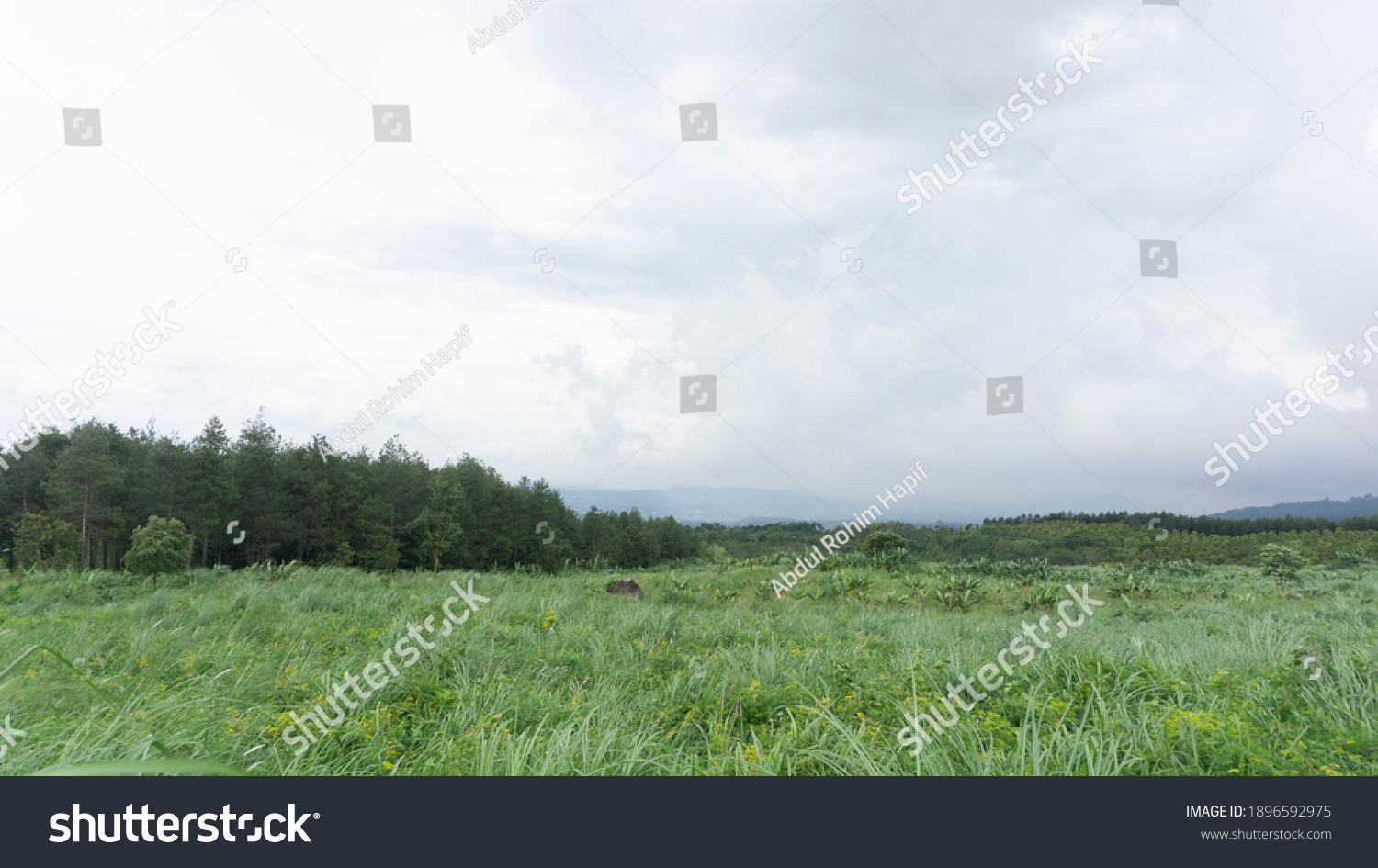 Detail Background Padang Rumput Nomer 38