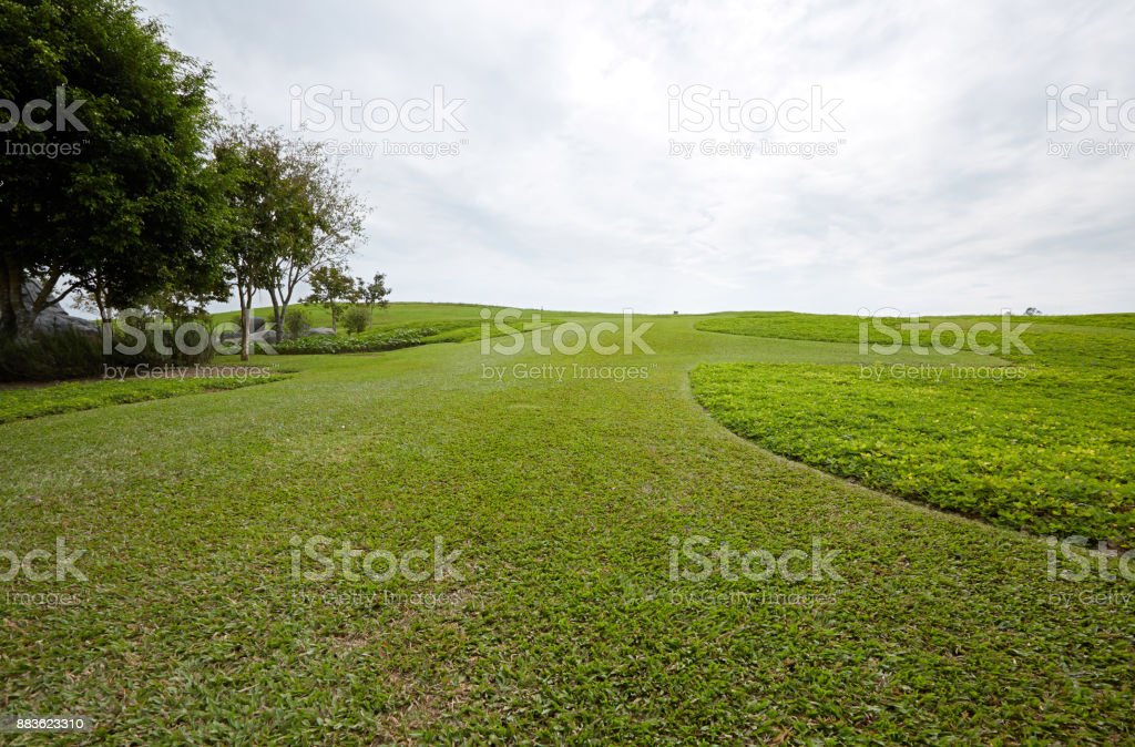 Detail Background Padang Rumput Nomer 46