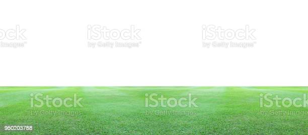 Detail Background Padang Rumput Nomer 47