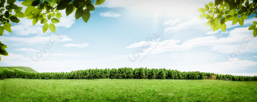 Detail Background Padang Rumput Nomer 52