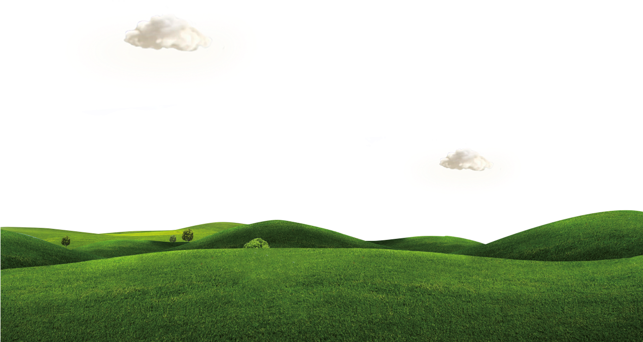 Detail Background Padang Rumput Nomer 9