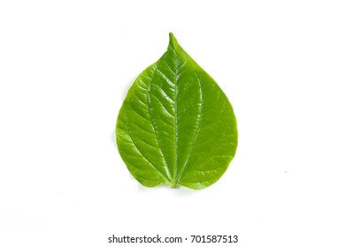 Detail Background Pan Nomer 8