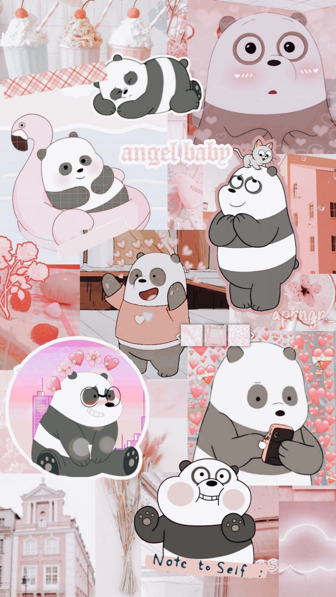 Background Panda Lucu - KibrisPDR