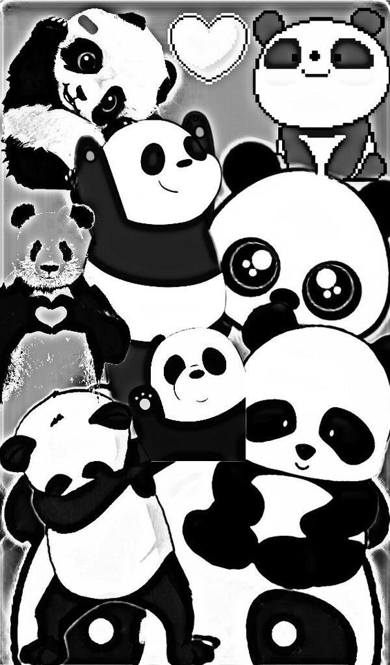 Detail Background Panda Lucu Nomer 15