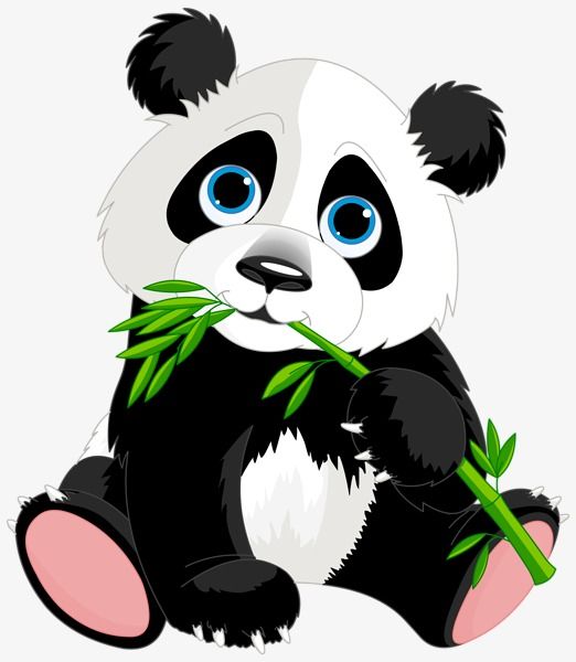 Detail Background Panda Lucu Nomer 18