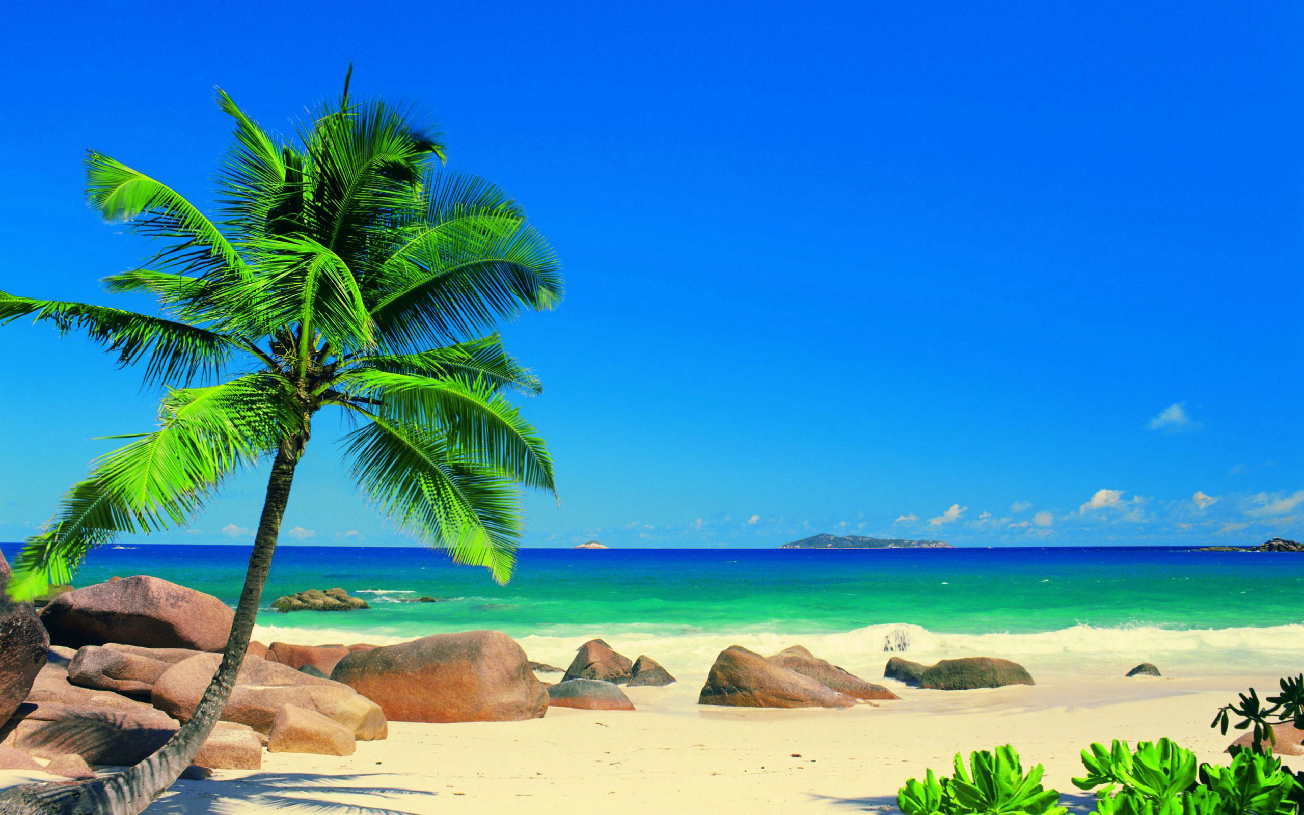 Download Background Pantai Nomer 25