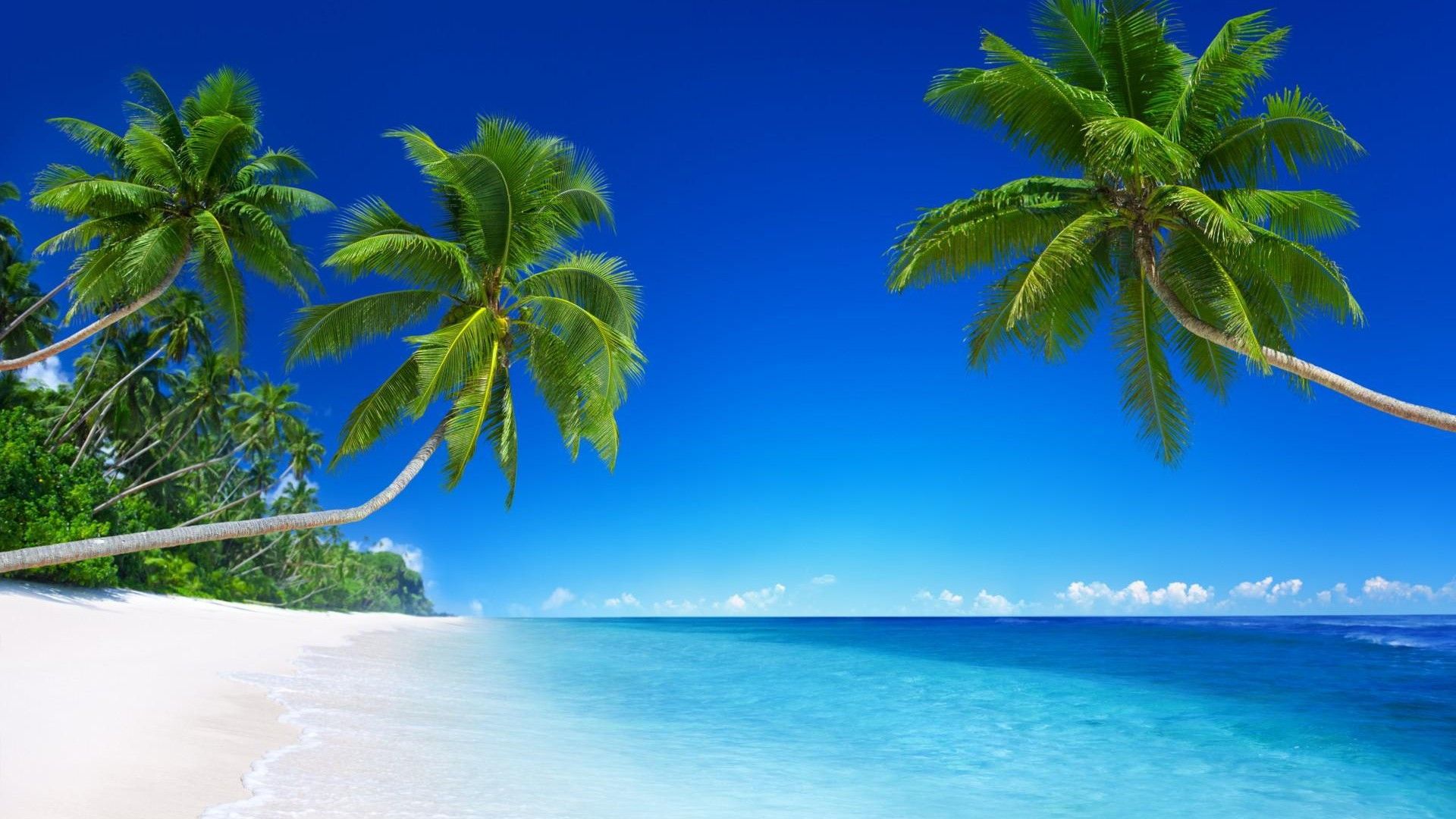 Detail Background Pantai Hd Nomer 2