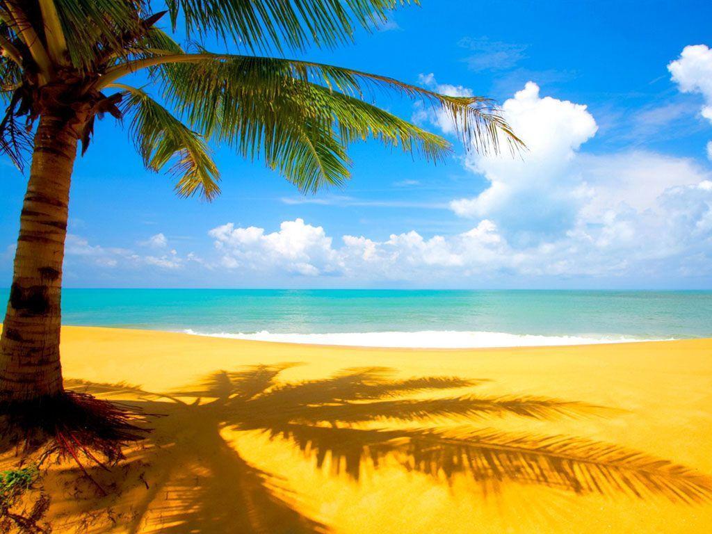 Detail Background Pantai Hd Nomer 4