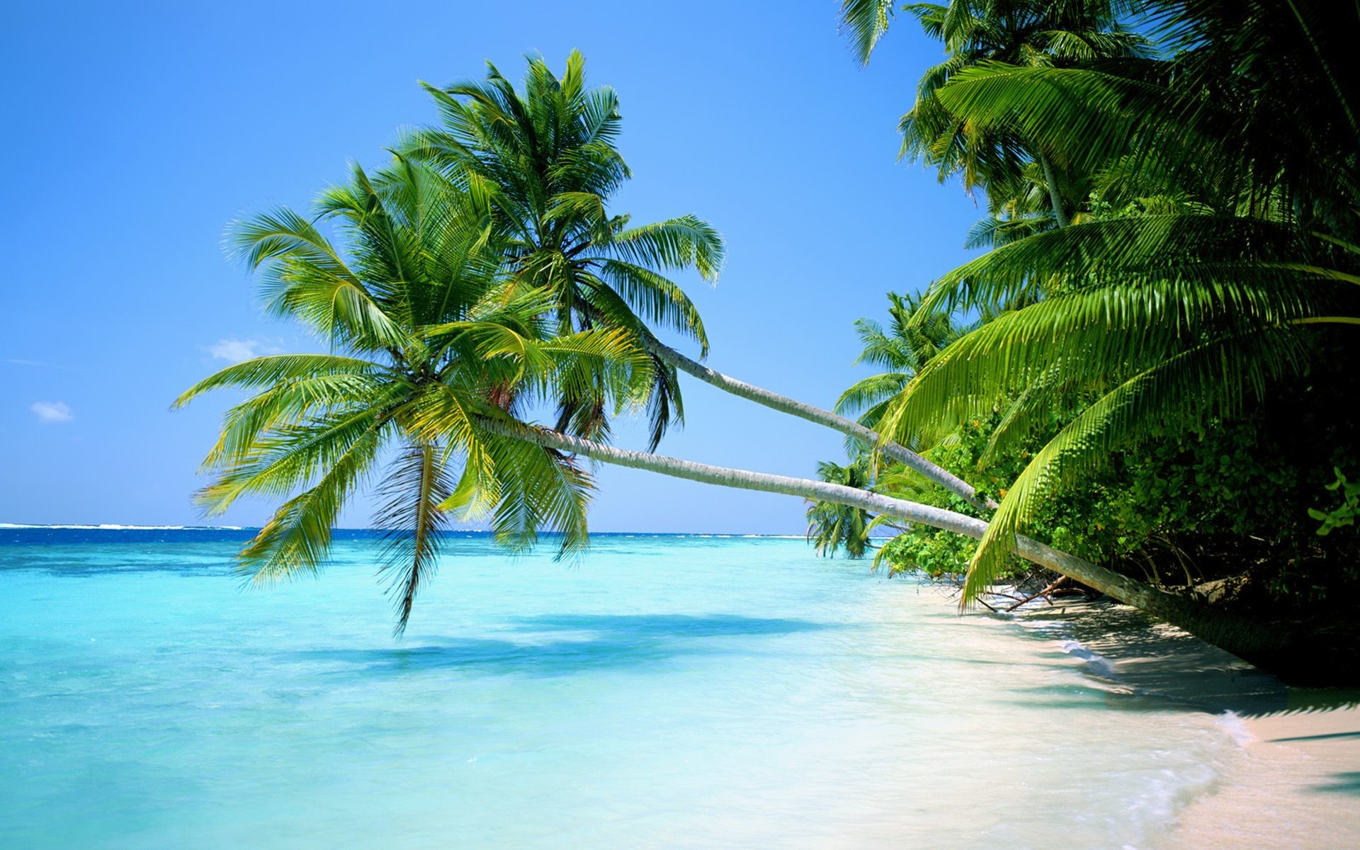 Detail Background Pantai Hd Nomer 10