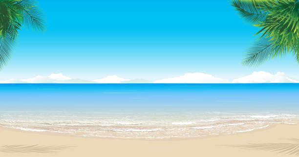 Detail Background Pantai Vector Nomer 36