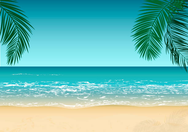 Detail Background Pantai Vector Nomer 43