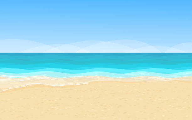 Detail Background Pantai Vector Nomer 53