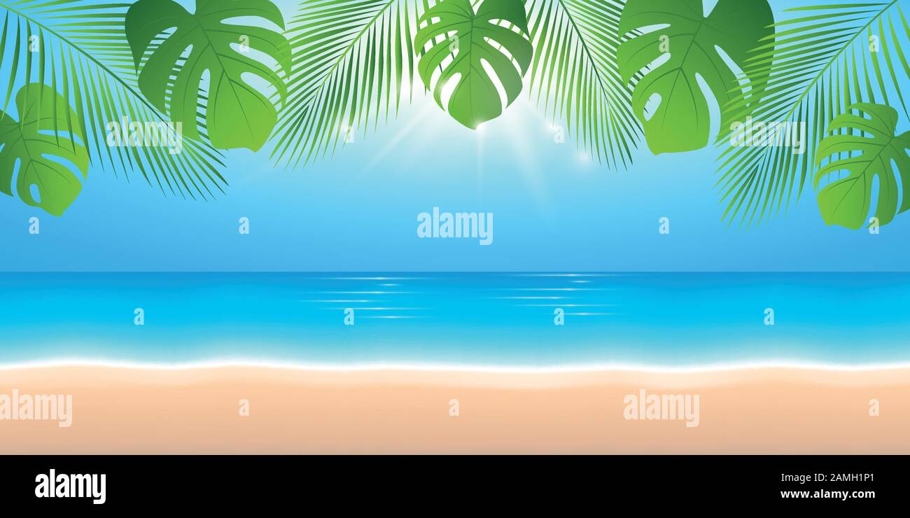 Detail Background Pantai Vector Nomer 55