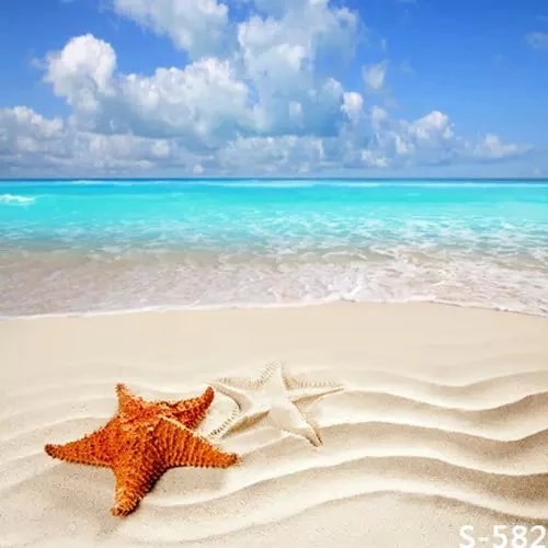 Detail Background Pasir Pantai Nomer 51