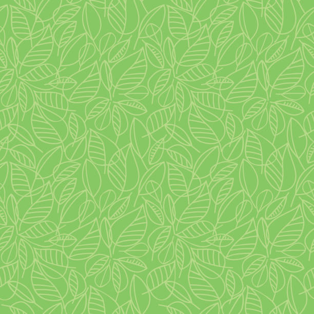 Detail Background Pattern Green Nomer 30