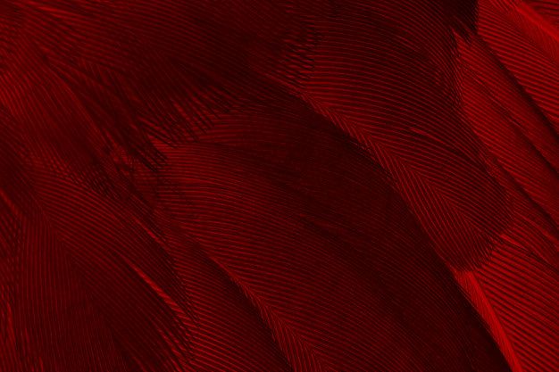 Detail Background Pattern Merah Nomer 17