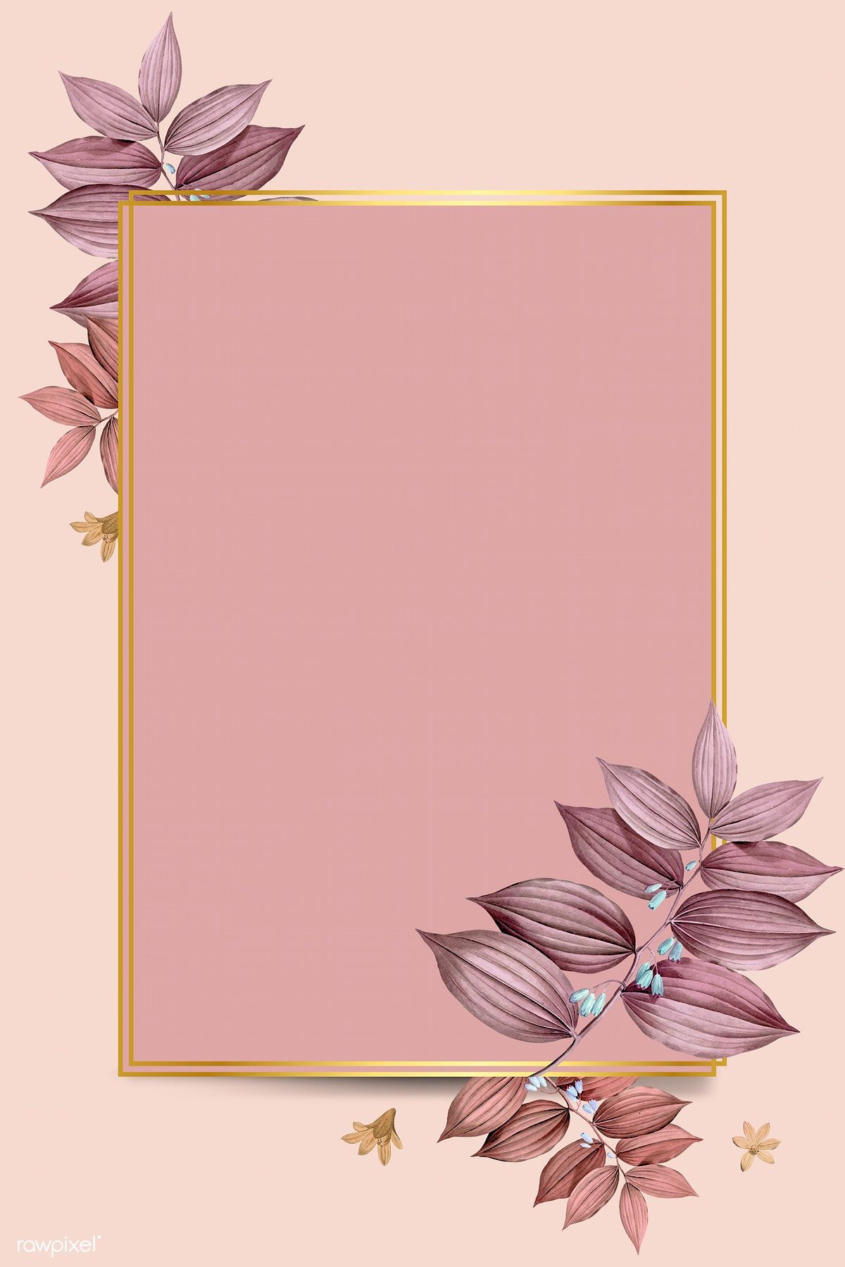 Detail Background Peach Nomer 24
