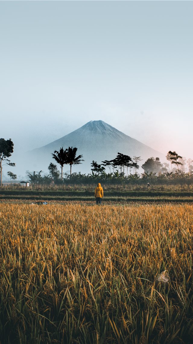 Detail Background Pemandangan Aesthetic Nomer 40