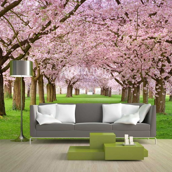 Detail Background Pemandangan Bunga Sakura Nomer 42