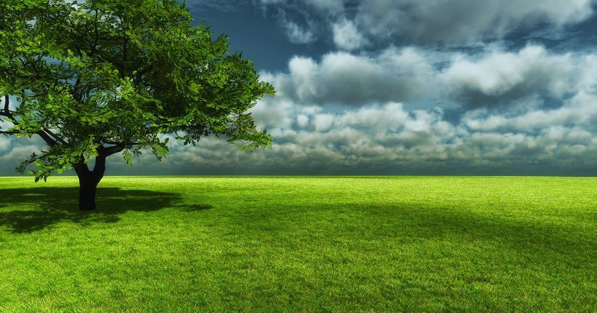 Detail Background Pemandangan Full Hd Nomer 20