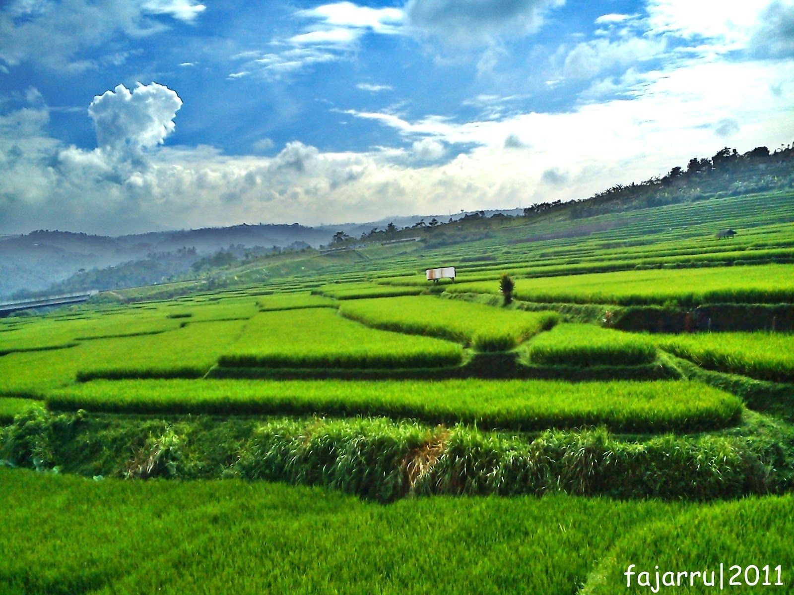 Detail Background Pemandangan Full Hd Nomer 30