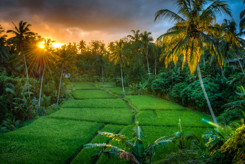 Detail Background Pemandangan Indah Nomer 2