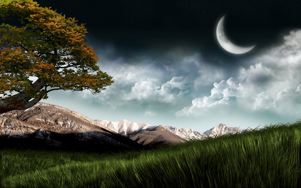 Detail Background Pemandangan Malam Nomer 19