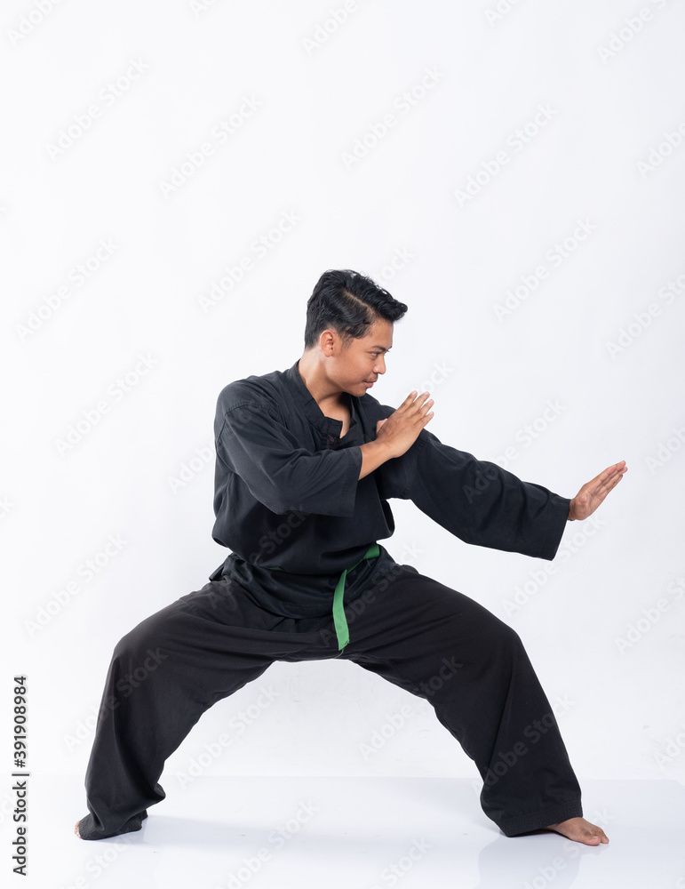 Detail Background Pencak Silat Nomer 27