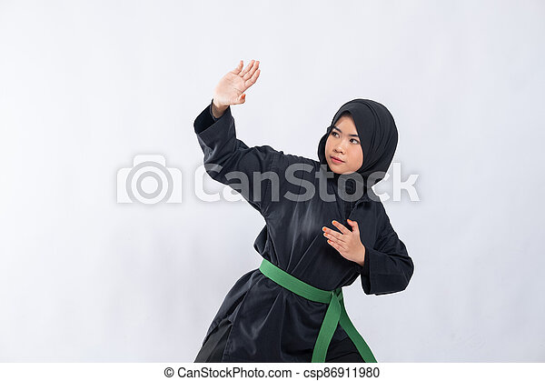 Detail Background Pencak Silat Nomer 38