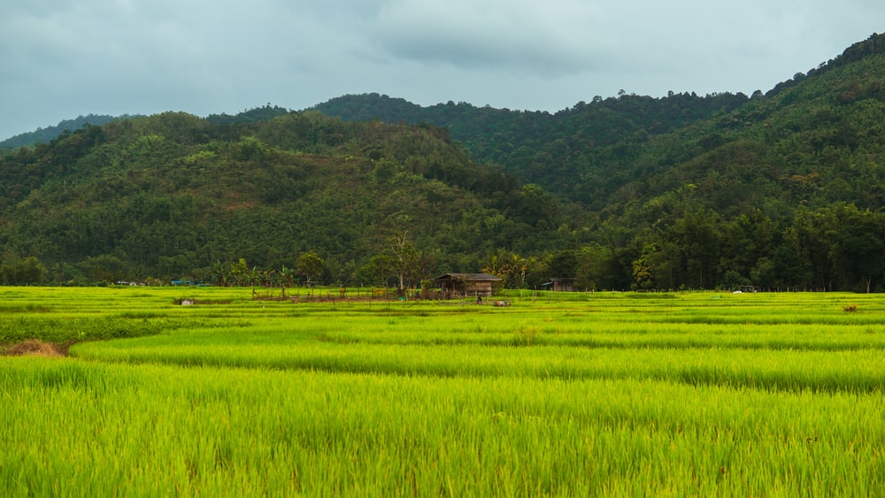 Background Perkampungan - KibrisPDR