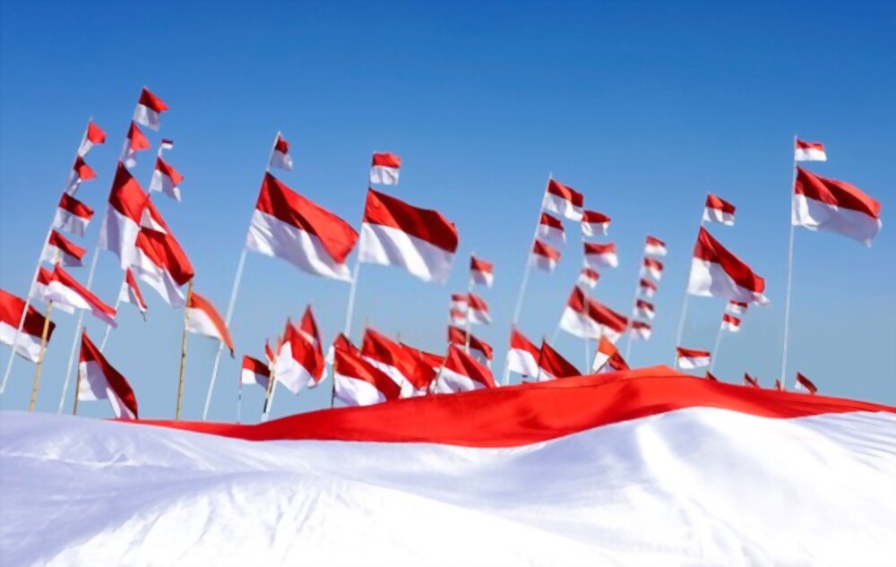 Detail Background Perlombaan Nomer 24