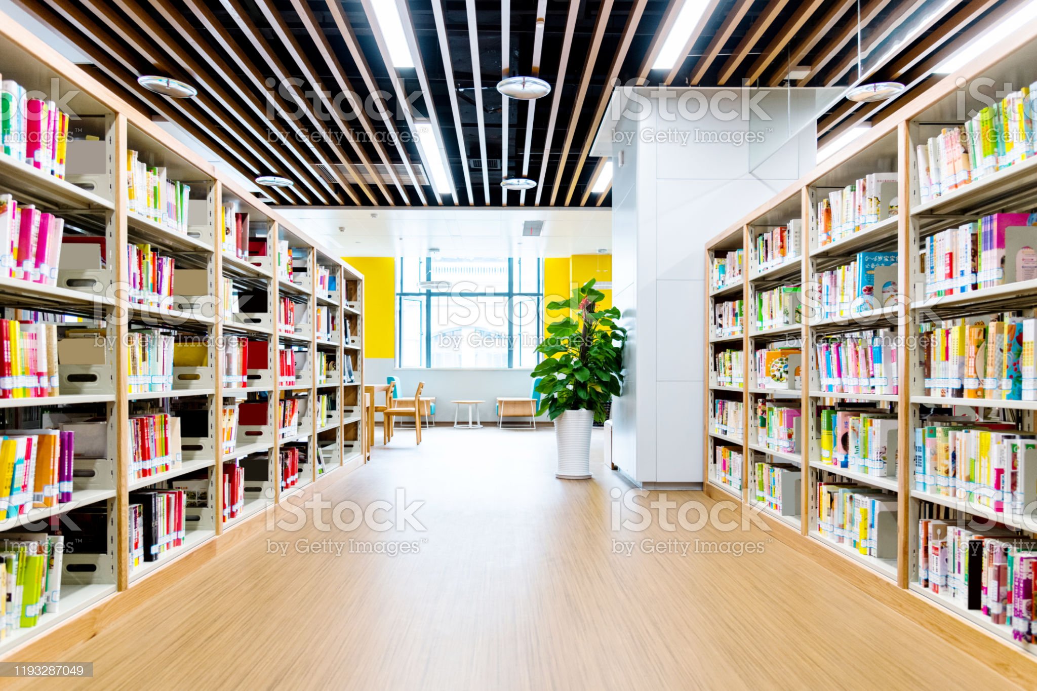 Detail Background Perpustakaan Png Nomer 35