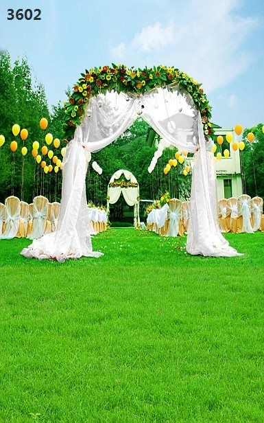 Detail Background Photo Studio Wedding Nomer 12