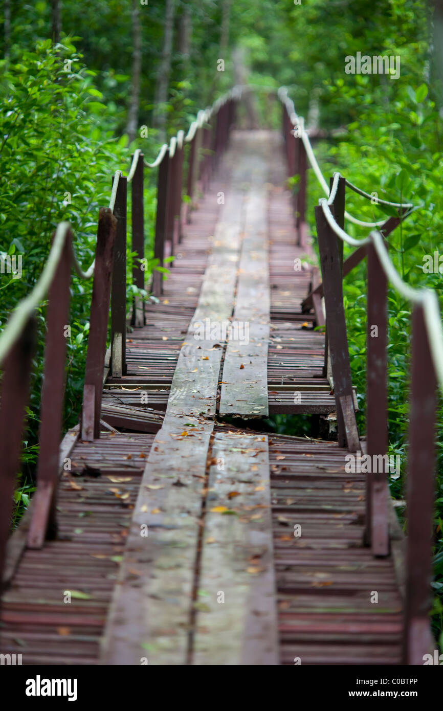 Detail Background Photography Alam Nomer 53