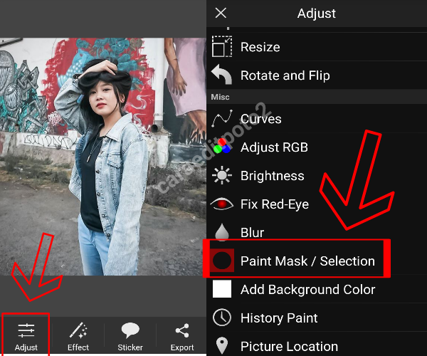 Detail Background Picsay Pro Nomer 50