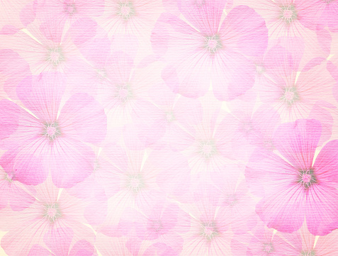 Detail Background Pink Floral Nomer 11