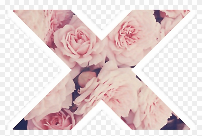 Detail Background Pink Flowers Tumblr Nomer 26