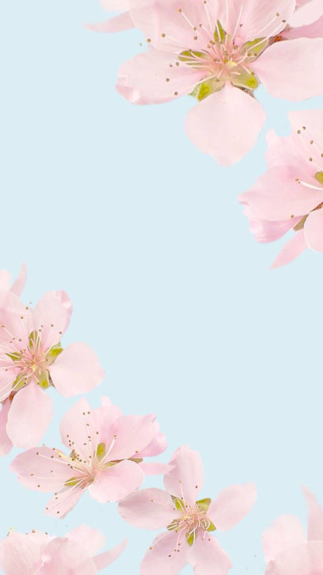 Detail Background Pink Flowers Tumblr Nomer 32