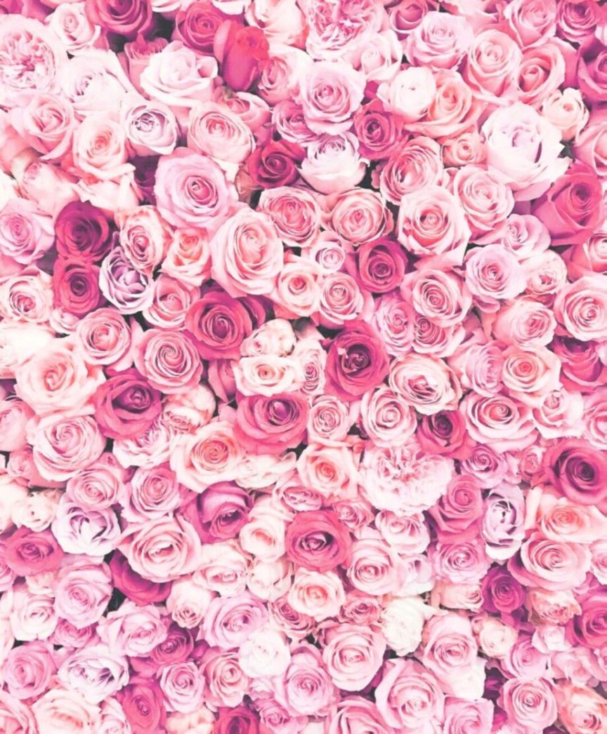 Detail Background Pink Flowers Tumblr Nomer 9