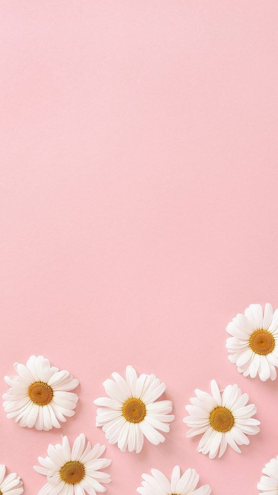 Detail Background Pink Lucu Nomer 49