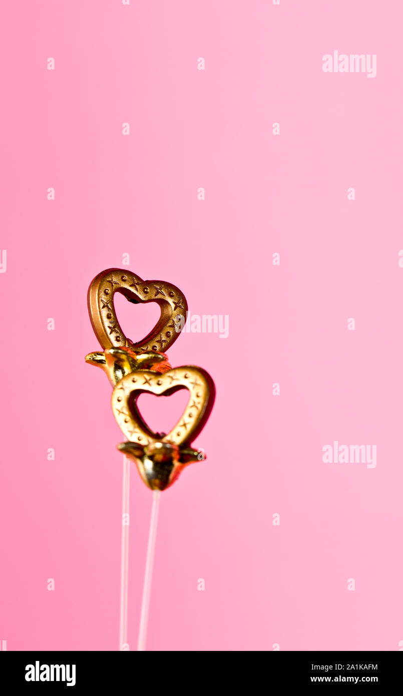 Detail Background Pink Portrait Nomer 15